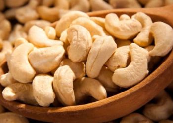 Two new cashew processing units open in Mozambique