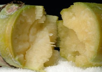Sugar Industry: A successful business in a skewed market