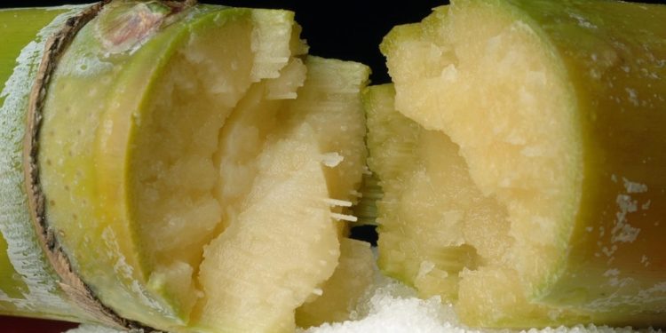 Sugar Industry: A successful business in a skewed market