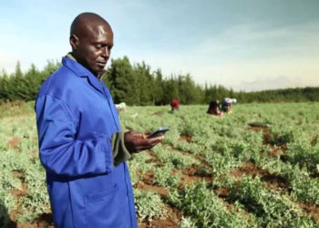 Digitalised agri platform launched in Nigeria