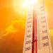 Heatwave: People’s lives and wild animals at risk