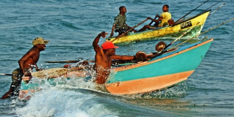 Mozambique fishermen point to China as fish stocks shrink