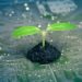 UK-AFRICA SUMMIT: Britain makes a small first step towards green technology