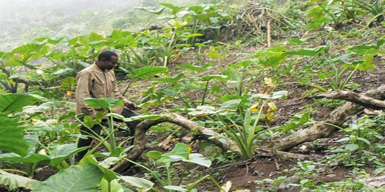 Cyclone Idai’s gone, but Mozambique’s problems demand action