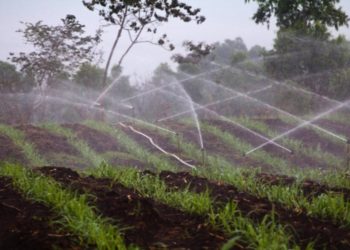 Choosing an irrigation system