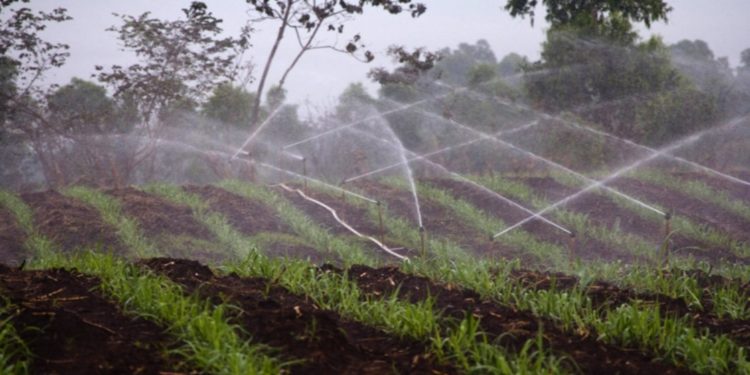 Choosing an irrigation system