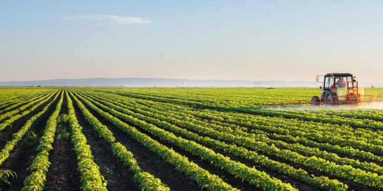 The pandemic must transform global agriculture