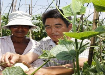 Questions around Japan-Led Support Project in Mozambique