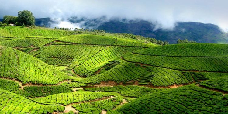 Nationwide survey to collect agricultural data has been launched in Mozambique
