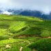 Nationwide survey to collect agricultural data has been launched in Mozambique