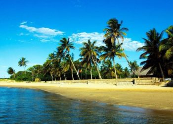 Countries with sizeable agriculture sectors and low exposure to tourism set to recover quicker from covid-19 economic crisis-Economists