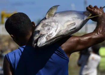 Tuna shipbuilding lawsuit is still going on