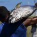 Tuna shipbuilding lawsuit is still going on