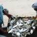 Mozambique gets funding for its rural economy initiative