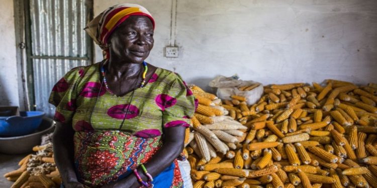 Mozambique show commitment to the battle against poverty and hunger