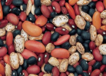 AfDB to support agriculture SMMEs