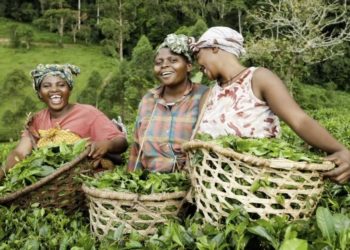 Mozambique invites US to invest in agriculture and other key sectors