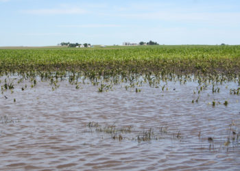 Nations to benefit from World Flood Mapping Tool