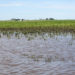 Nations to benefit from World Flood Mapping Tool