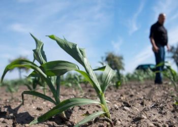 ‘SADC already under climate change attack’