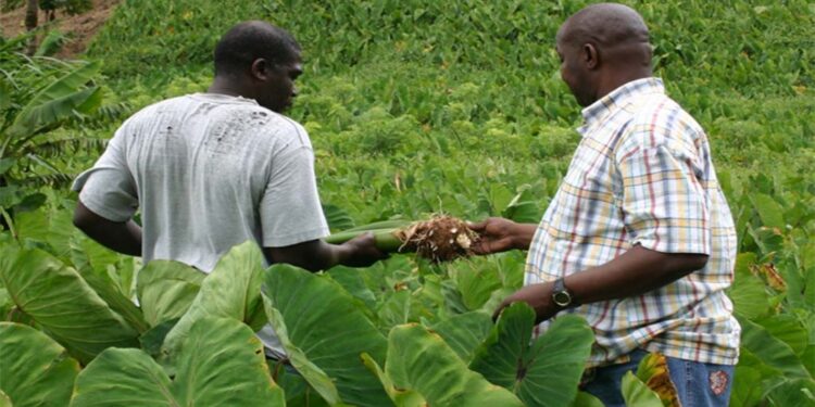 Millennium Challenge Corporation to help define Compact II’s investments to maximize long-term economic benefits for Mozambique