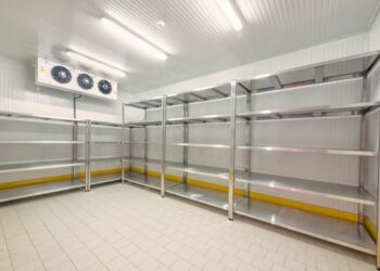 Os líderes africanos pedem estratégias para explorar o potencial da economia azul para alcançar o desenvolvimento de longo prazo