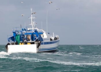 ‘CMN knew that the fishing boats it was building did not meet Mozambican requirements’, court told