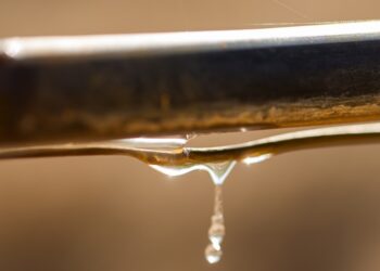 Johan Visser joins Agrico to focus on drip and micro-irrigation
