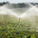 Moçambique identifica irrigação como solução para adaptação às alterações climáticas