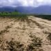 Tropical Cyclone Ana: WFP ready to provide food and logistics support for rescue and relief operations