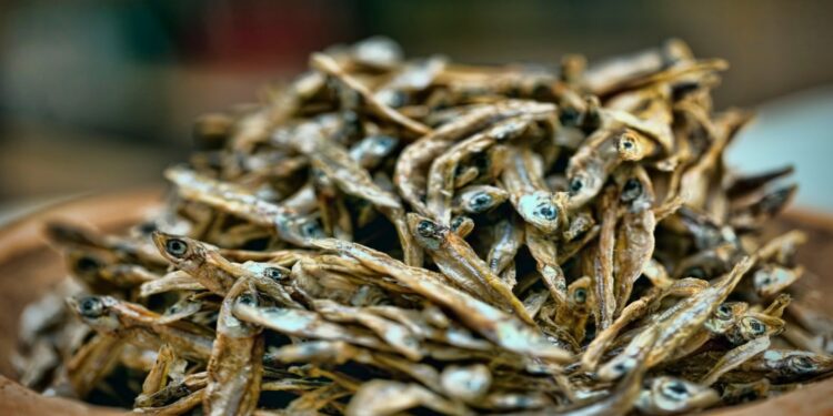 We must vigorously fight all forms of illegal fishing, says Fisheries Minister
