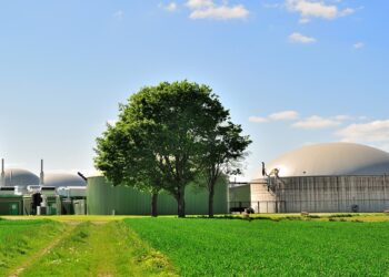 Maximizar as receitas de GNL é essencial para encorajar o crescimento em sectores não extractivos para promover o crescimento económico de base ampla de Moçambique