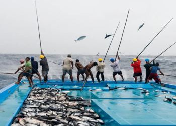 World Bank makes a return to Mozambique despite tuna-fishing vessel scandal