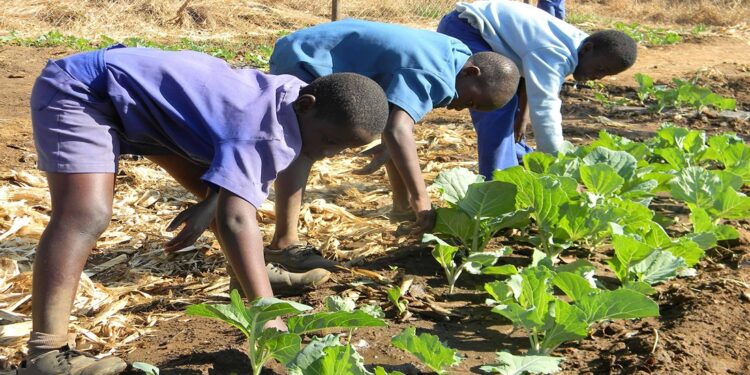 Africa’s Moment: Becoming a global economic powerhouse