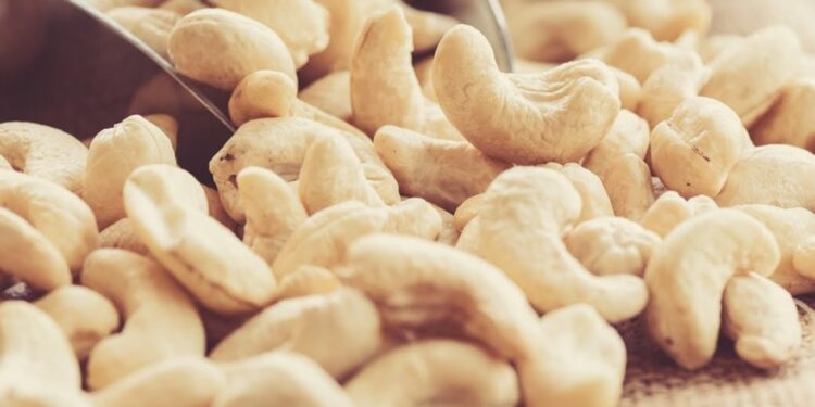 2022-2023 cashew marketing campaign expected to earn cashew producers US$ 87 million
