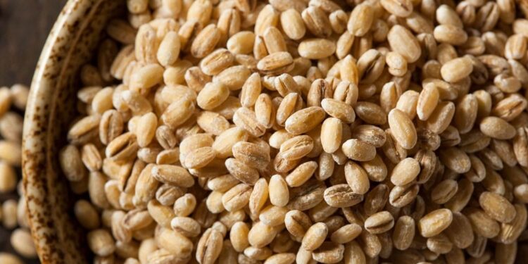 Access to the latest seed technology will play an essential role in food security
