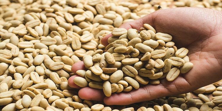 ‘Joining the ICO will enable the country to boost coffee exports and contribute to sustainable industry development’