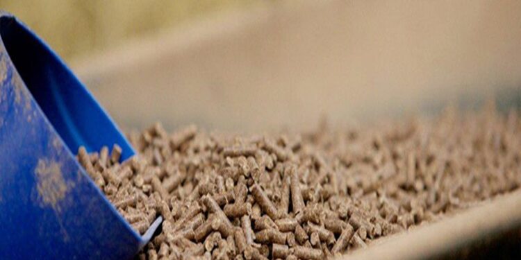 Mozambique, IFAD sign US$4.2 million grant agreements