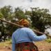 PIB de Moçambique cresce 4,67% no 2º trimestre de 2023, impulsionado pelo sector primário