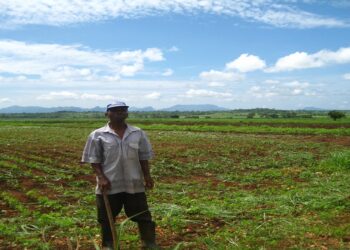 Itália investe em agricultores moçambicanos, reforçando a segurança alimentar no meio da crise climática