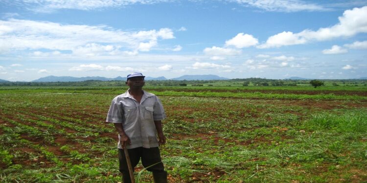 Italy Invests in Mozambican Farmers, Bolstering Food Security Amidst Climate Crisis