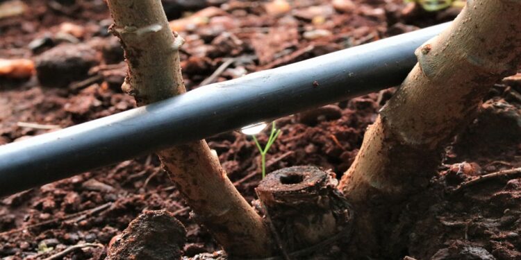Why is water important to farming?