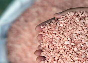 Africa to triple fertilizer production, distribution
