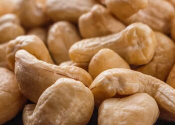 Mozambique Reinforces Cashew Export Ban Ahead of Official Season – updated
