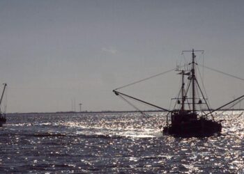 Illegal Fishing Threatens Mozambique’s Shrimp Industry