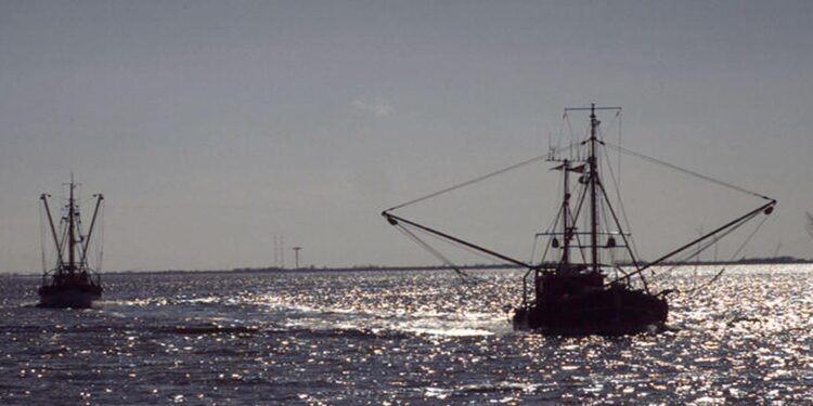Illegal Fishing Threatens Mozambique’s Shrimp Industry