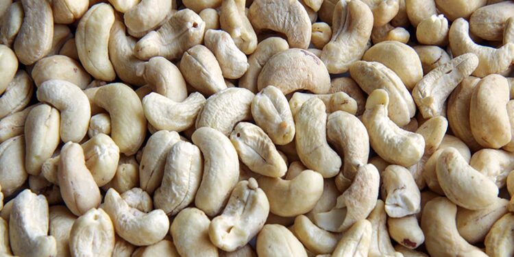 Cashew Boom in Sofala: A Sweet Success Story, But Industrialisation Looms