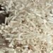 El Niño’s Grim Toll: UN Plea for €196 Million to Rescue Drought-Stricken Mozambique