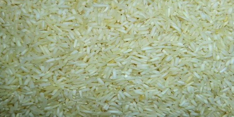 Subsídio do AfDB visa a auto-suficiência em arroz de Moçambique