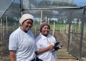 Sinergia Agro-Financiamento: Iniciativa PRASL Visa a Mudança Regenerativa em Moçambique